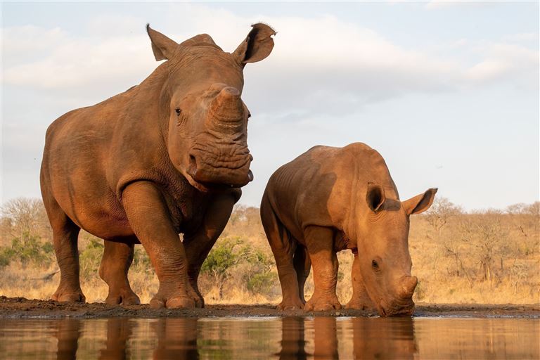 Südafrika à la carte © Peter van Dam/adobestock